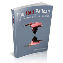 New review on The Red Pelican